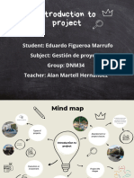 Mapa Mental Proyectos
