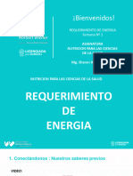 Teoria Ppt01.requerimiento de Energia