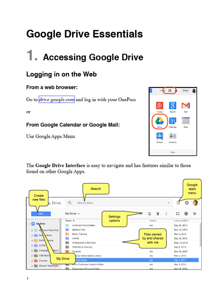 Google Drive User Guide | PDF | Computer File | Software Engineering