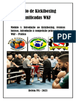 Seminário - Kickiboxigin - Módulo 1 - Introdução