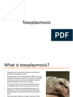 Toxoplasmosis Class SMV 2023