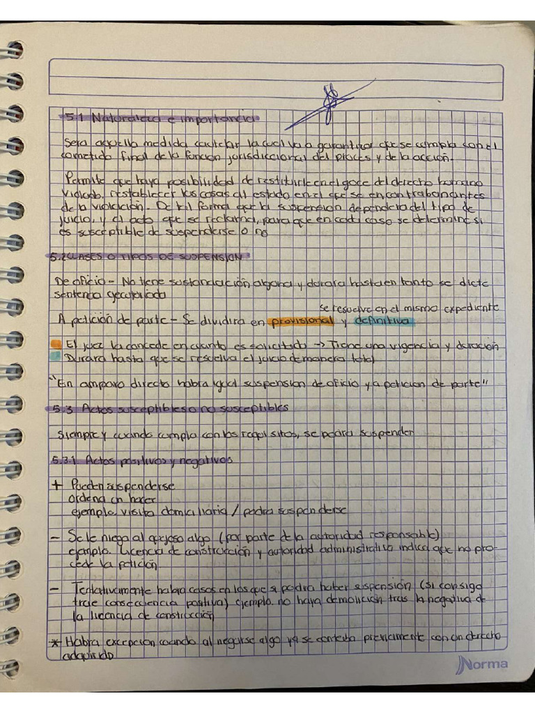 suspensi-n-del-acto-reclamado-pdf