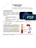 Sistema Circulatorio 5°