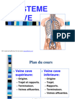 Systeme Cave