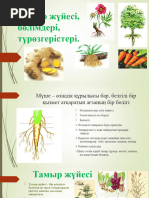 Интернетте тамыр соғуы жоғалғанша