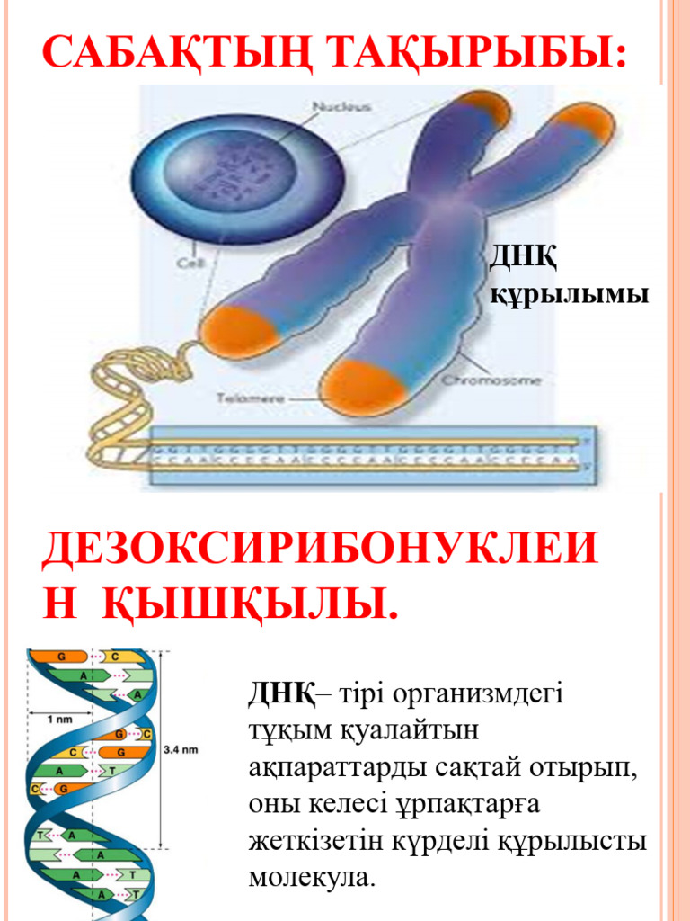 Жағажайдағы жыныстық қатынастың жеке фотосы