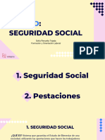 Tema 6 Seguridad Social