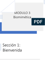 03 Biomimetica