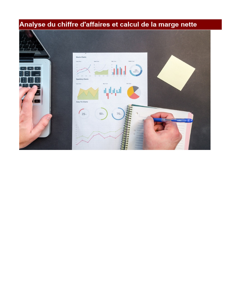 Analyse Des Ventes Et Calcul De La Marge Nette Pdf