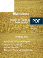 301 Rizicultura