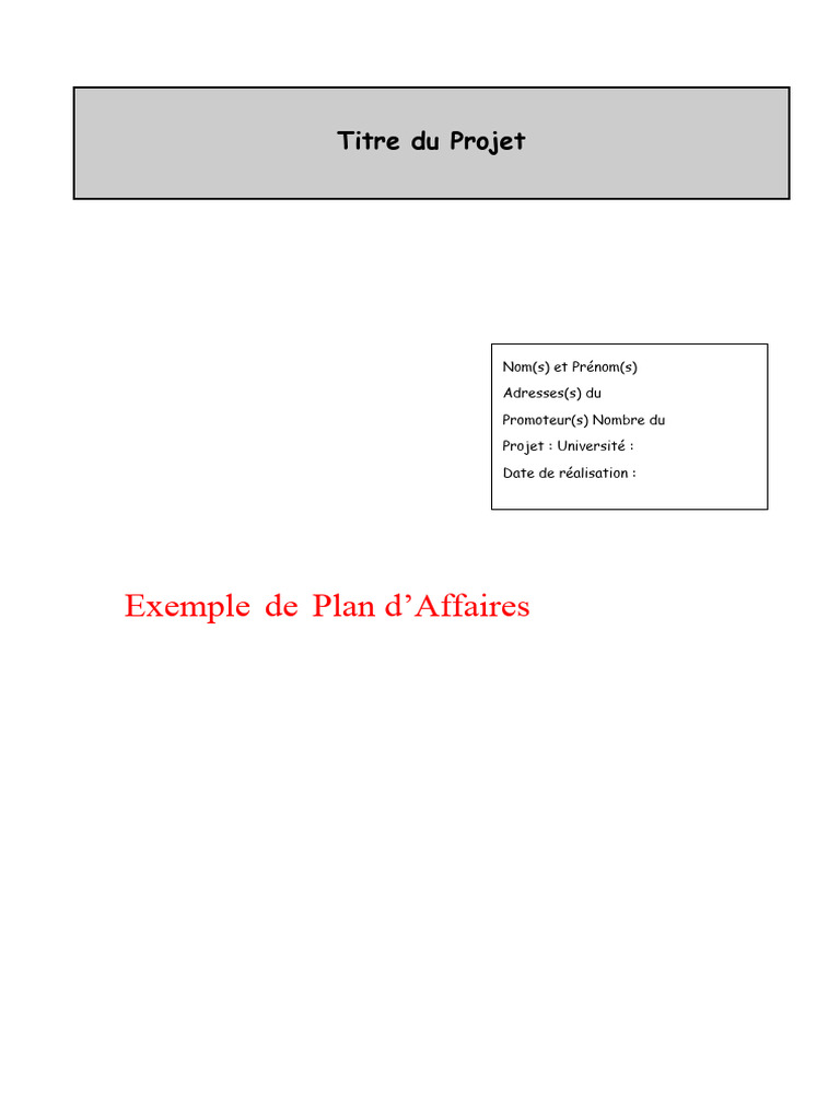 Guide Mini Projet Business Plan | PDF