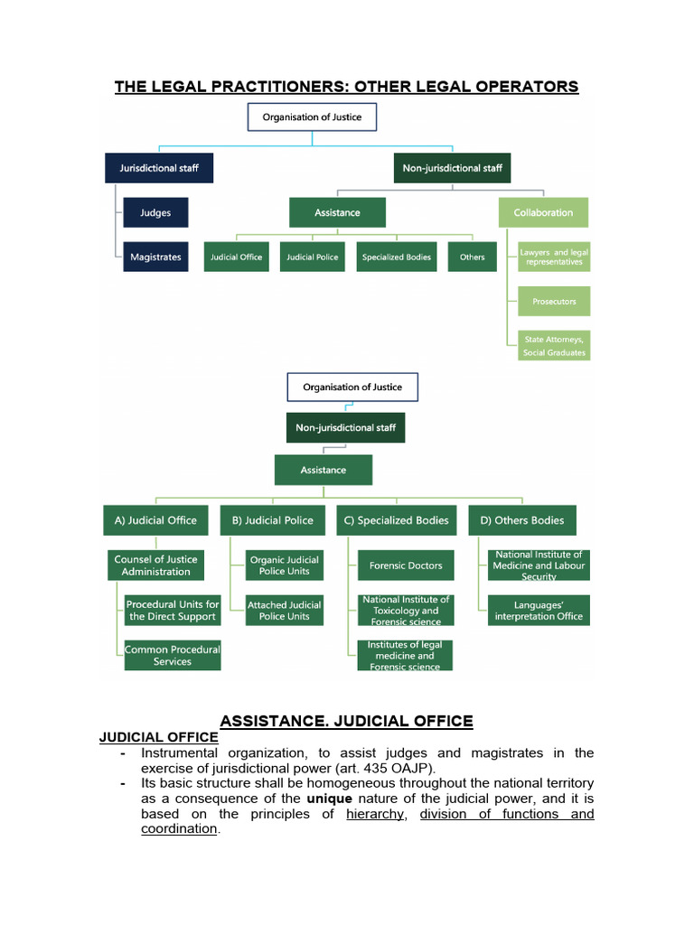 T.4 Sistema Judicial Español PDF Lawyer Prosecutor