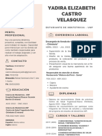 Currículum Vitae CV Yadira Castro - 1