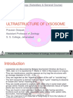 1395631898ultrastructure of Lysosome