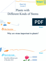 q2 Sci Plants With Different Kinds of Stems