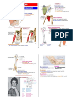  Atlas of Anatomy Bones (Turkish)