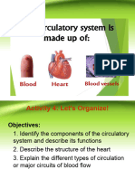 Circulatory System and Parts 1