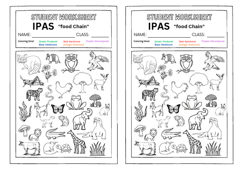 Worksheet IPAS | PDF | Cooking, Food & Wine | Wellness