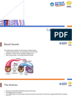 Cardiovascular and Respiration