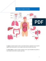 Ud1 - Tema 3 - VOCABULARY Organ Systems of The Body