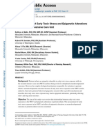 Scoping Review of Early Stress and Epigenetic