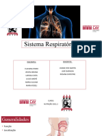 Sistema Respiratório