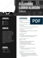 Portafolio Alejandro Osorio