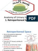 1.retroperitoneal Space