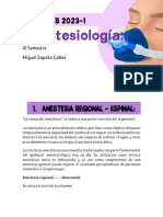 Anestesia regional - Epidura, Raquideo.