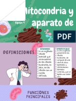 Mitocondria y Aparato de Golgi