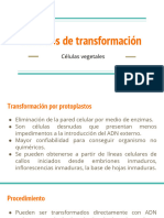 Métodos de Transformación