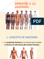 Introducción A La Anatomia