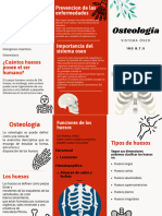 Triptico Osteologia