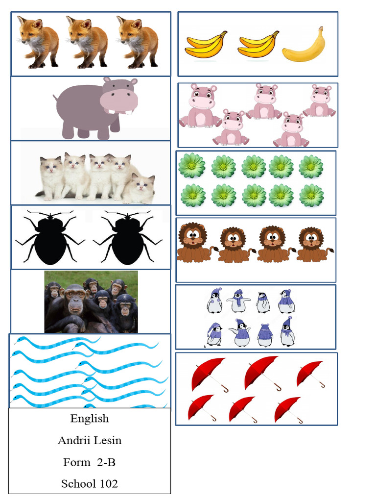 Revision Colours, Numbers | PDF