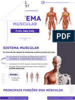 Aula 3 - Sistema Muscular