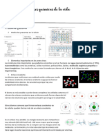 TEMA 2 Biología