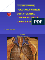 Ao TX. Grandes Vasos - Arteria Pulmonar y Subclavia. VCSup. 2023