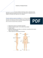 Anatomia Trabajo