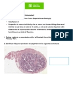 Guia 1-Histologia II-2023