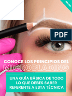 Ebook Principios Del Microblading Ibrows by Linda