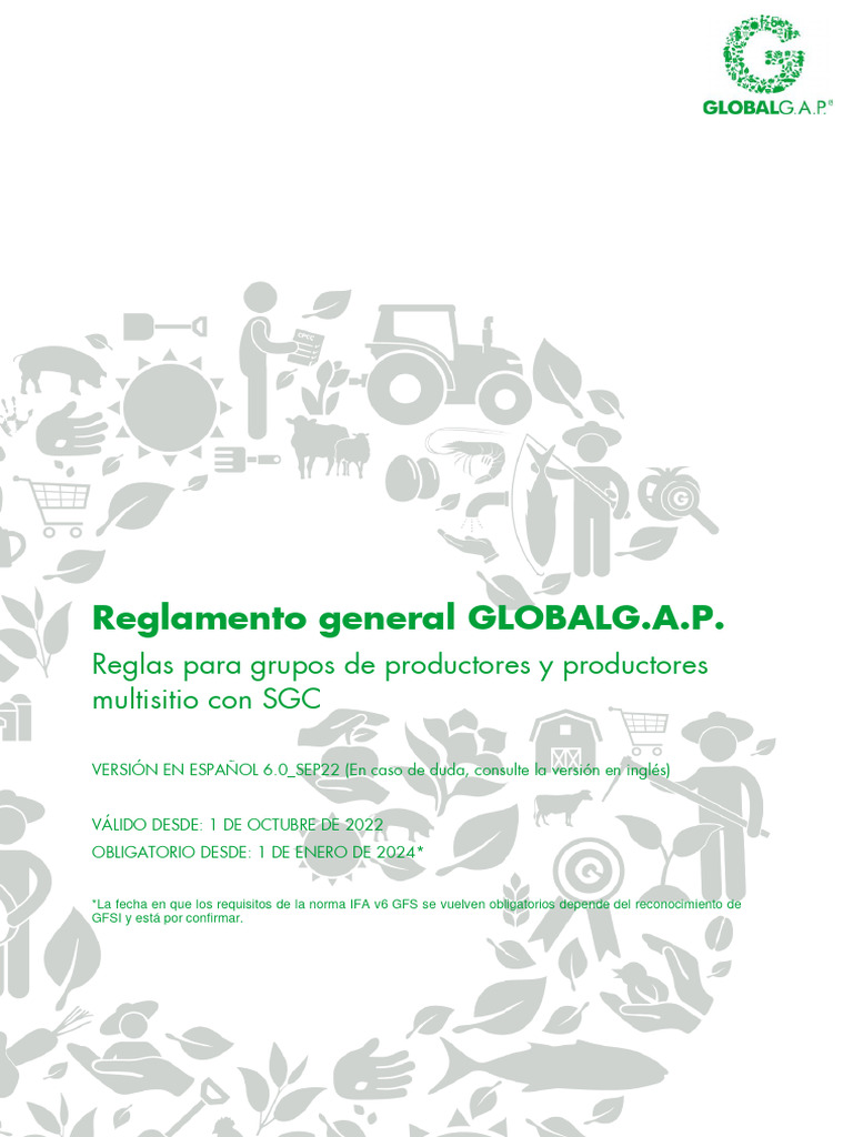 GG GR Rules For QMS v6 0 Sep22 Es | PDF | Auditoría | Contralor
