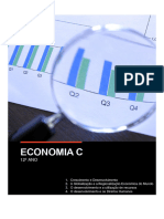 Economia c (1)