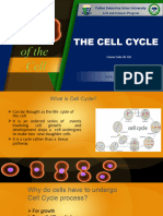 Prelim Session 2 Cell Cycle