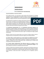 Constelaciones Organizacionales - Documento Síntesis Clase