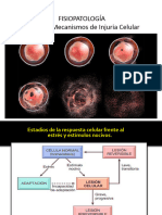02 Mecanismos de Injuria Celular