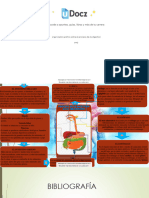 Organizador Grafico Sobre El Proceso de La Digestion 176728 Downloadable 3406217