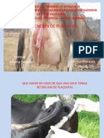 Diapositiva Veterinaria