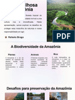 A Maravilhosa Terra Da Amazonia