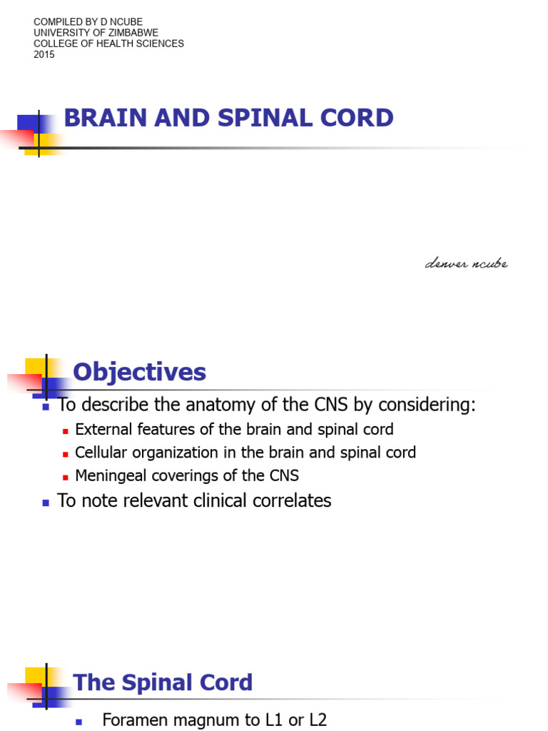 Neuroanatomy intelligence overview