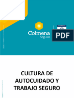 Cultura de Autocuidado y Trabajo Seguro